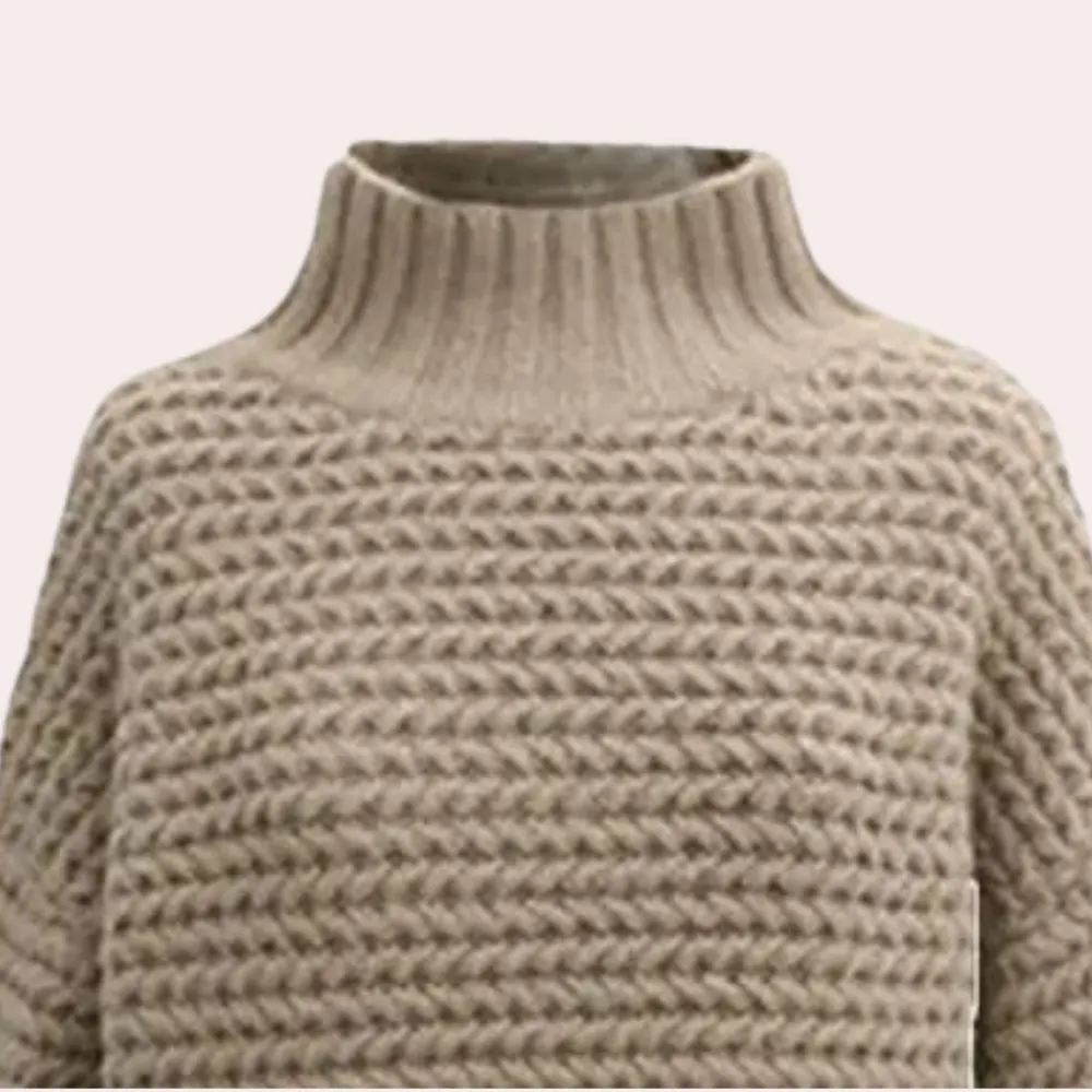 Ivyshape | Classic Knitted Turtleneck Women